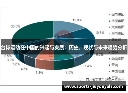 台球运动在中国的兴起与发展：历史、现状与未来趋势分析