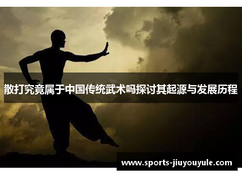 散打究竟属于中国传统武术吗探讨其起源与发展历程